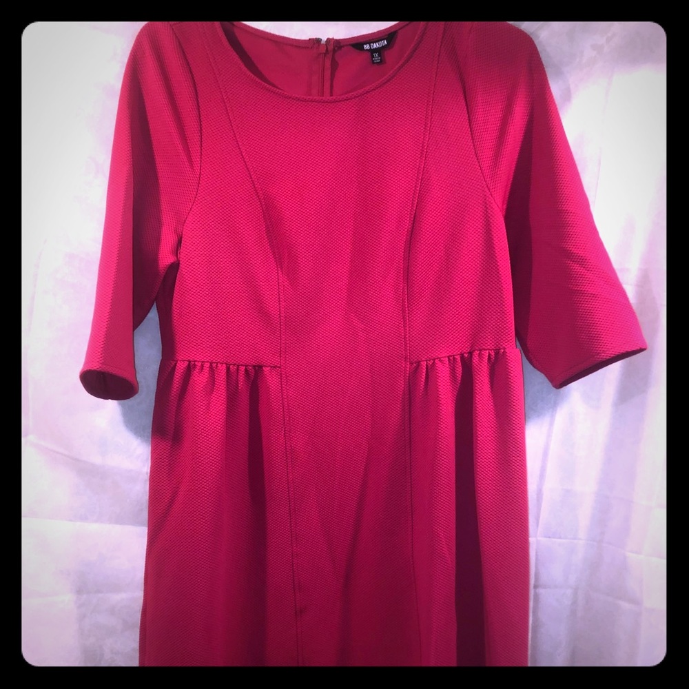 BB Dakota long sleeve Pink dress new